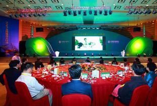 廣西專(zhuān)業(yè)婚慶策劃主持哪家好？非凡婚慶活動(dòng)策劃全方位解析