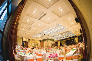 大慶藝群婚慶 以專業(yè)匠心，雕琢您的豪華婚禮夢(mèng)想